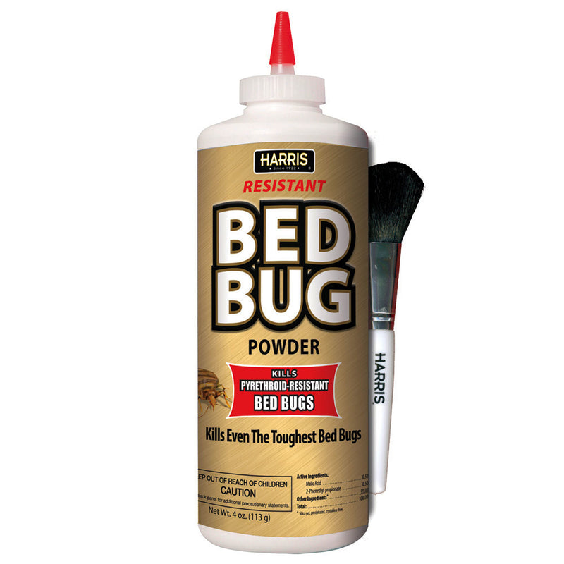 BED BUG KILLER POWDR 4OZ