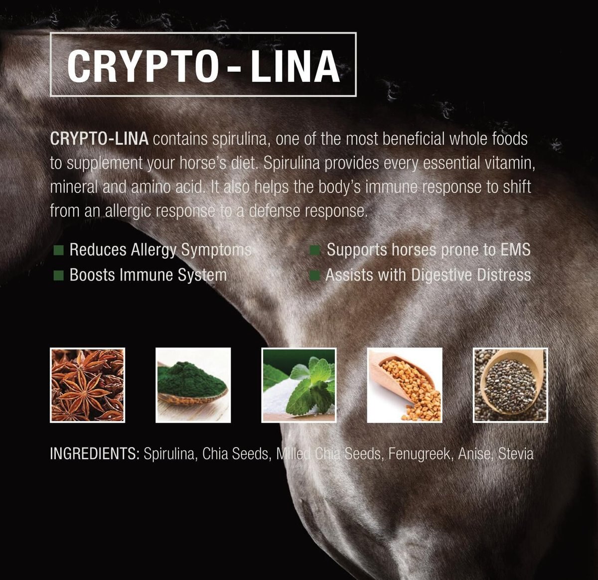 Crypto Aero Lina Anti-Inflammatory Powder Horse Supplement