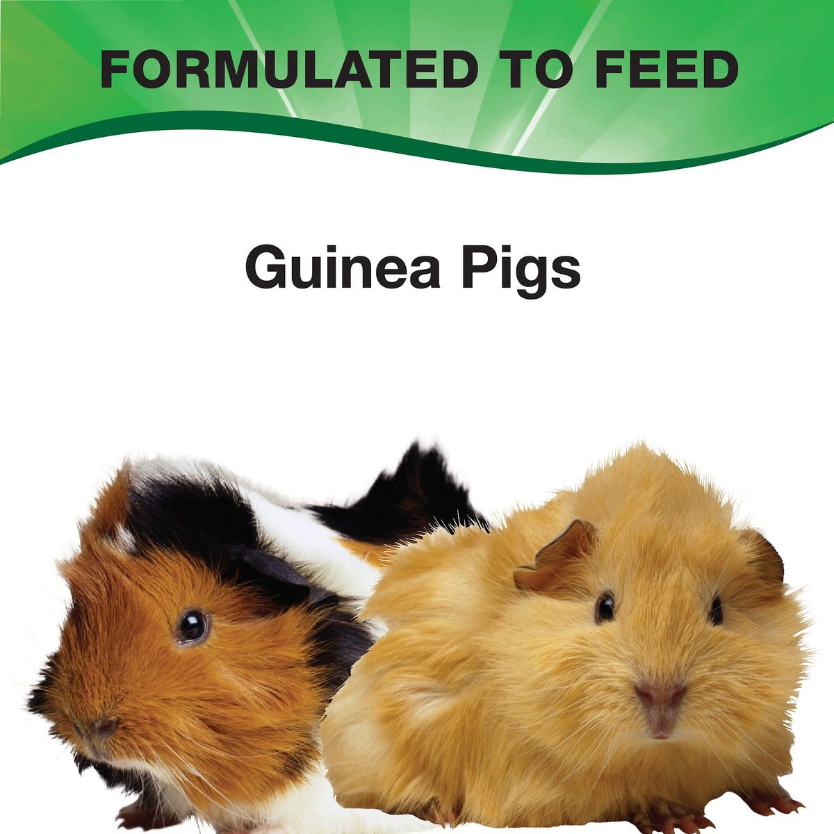 L'Avian Plus Guinea Pig Food， 4.5-lb jar