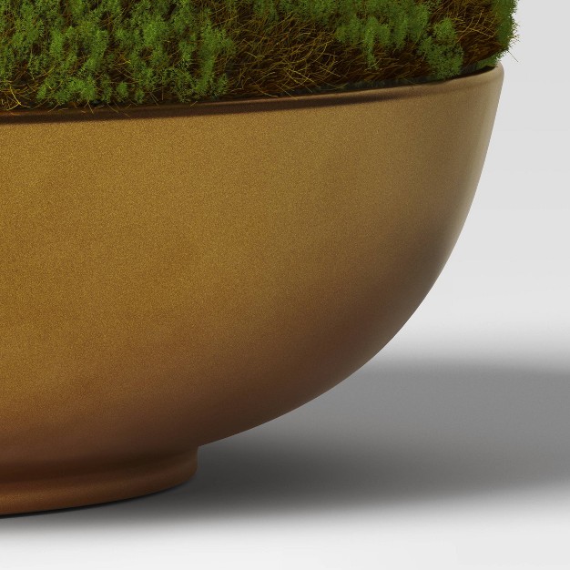 Moss In Gold Bowl - Threshold