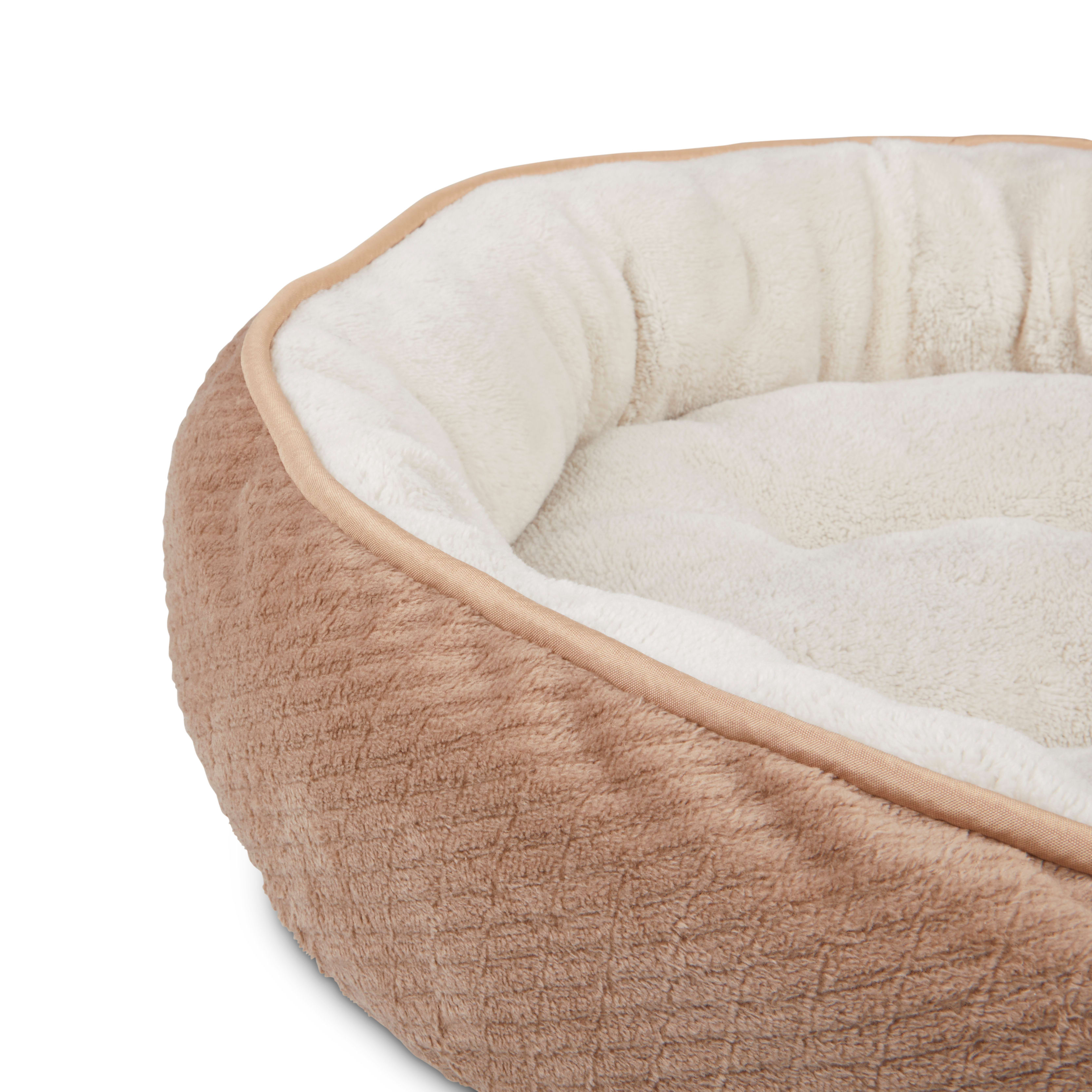 EveryYay Snooze Fest Tan Textured Round Cat Bed， 20