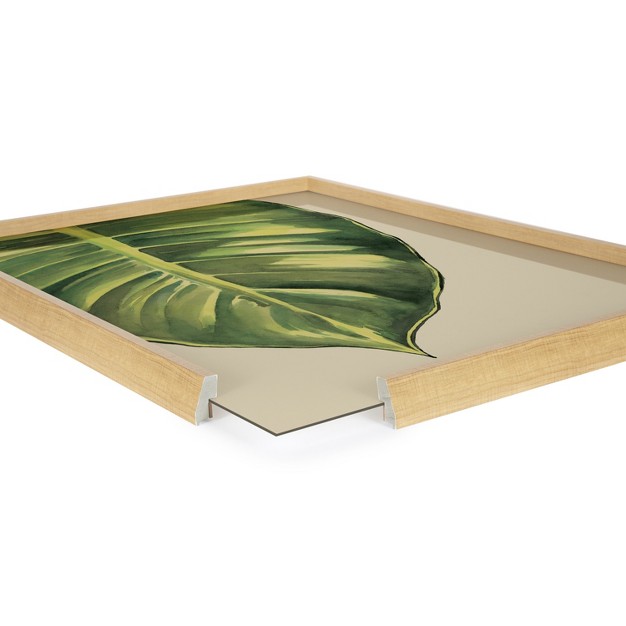 Kate And Laurel Blake Large Leaf Greener Hue Neutral Framed Printed Glass By Emily Marie Watercolors