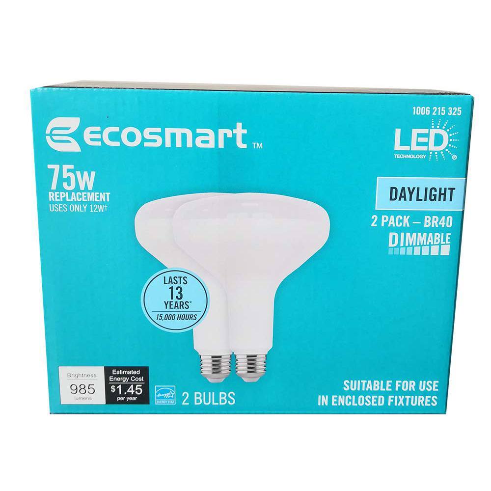 EcoSmart 75-Watt Equivalent BR40 Dimmable ENERGY STAR LED Light Bulb Daylight (2-Pack) BR40-1D 12W E26 120V 5000K