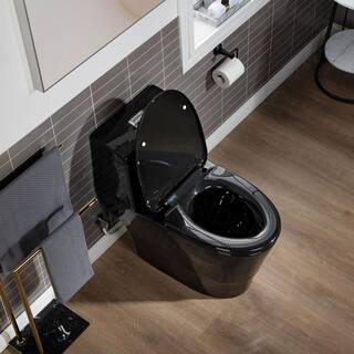 WOODBRIDGE Bering 1-Piece 1.01.6 GPF High Efficiency Dual Flush Elongated Map Flush 1000g WaterSense Toilet in Black HB0941