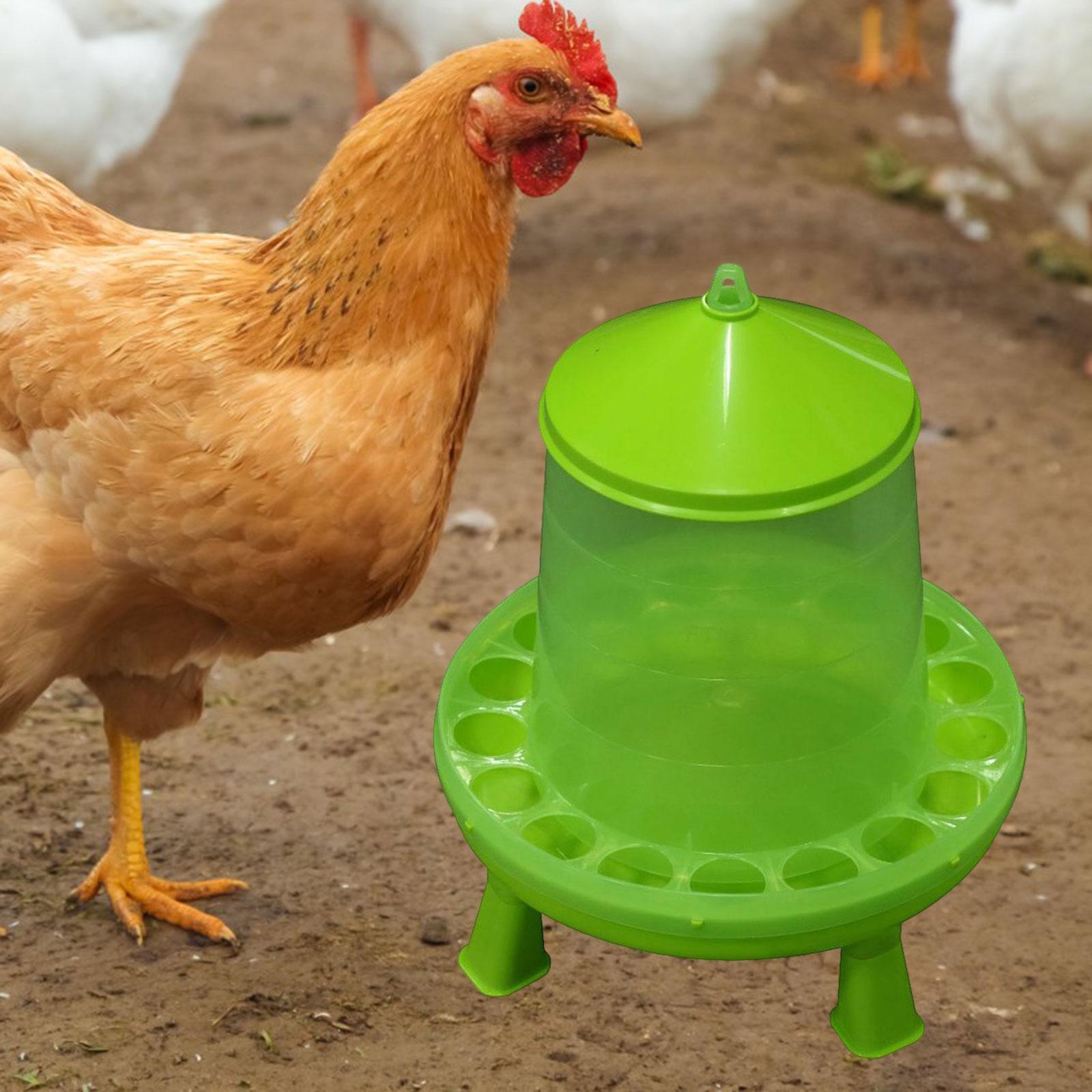 Green Chicken Feeder Chick Feeder feed Dispenser Feeding Tool with Feeding Holes 8kg