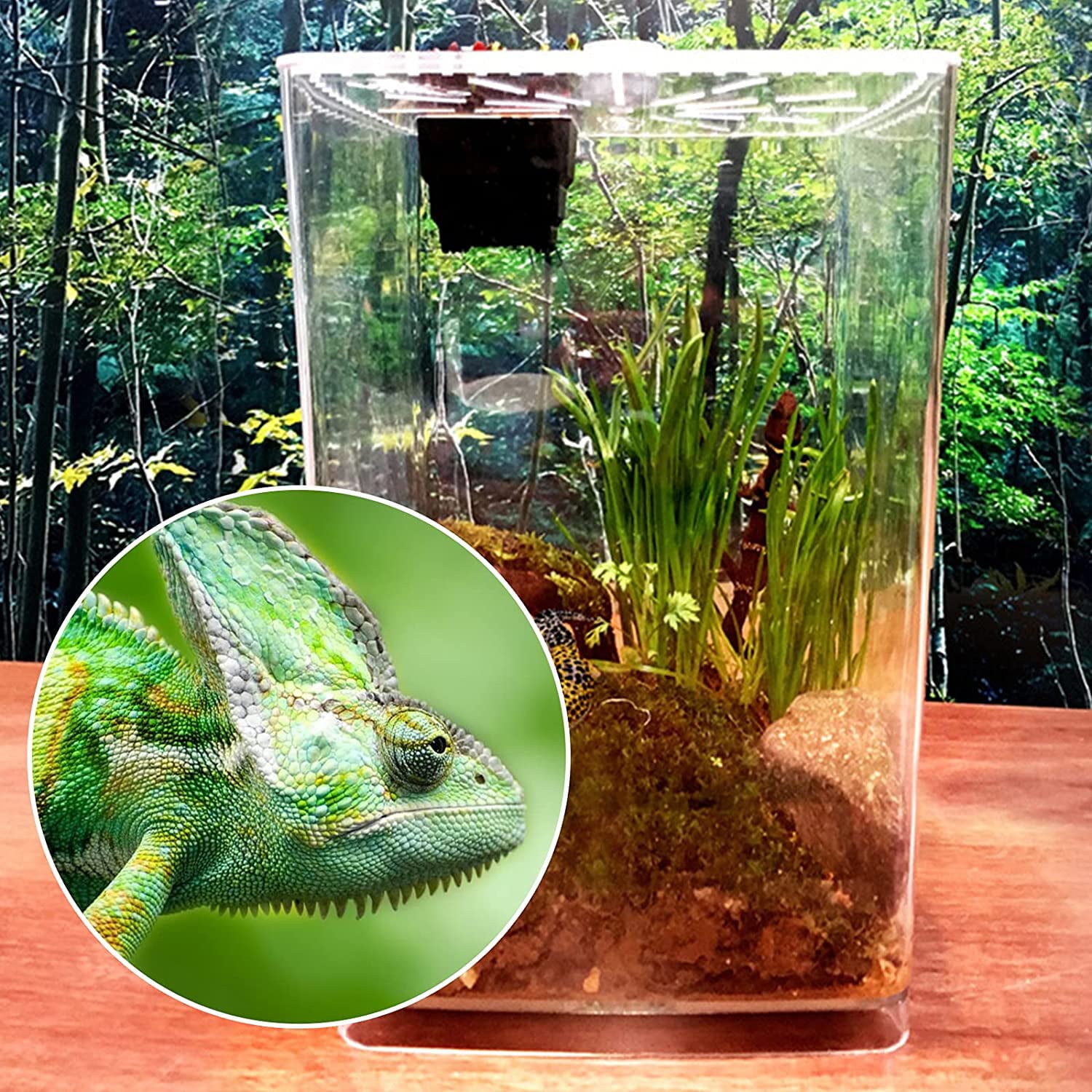 Miumaeov Acrylic Reptile Terrarium Cage Reptile Terrarium Gecko Lizard Snake Spider Pet Cage Tank Durable