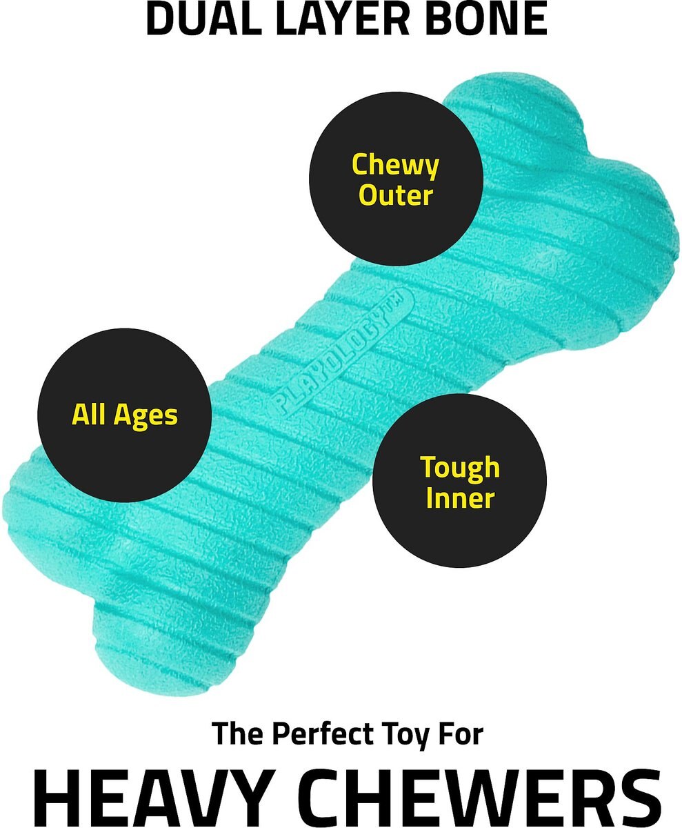 Playology Scented Dual Layer Bone Dog Toy