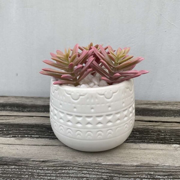 4.25H Pink Cactus in 4 Mayan Pot