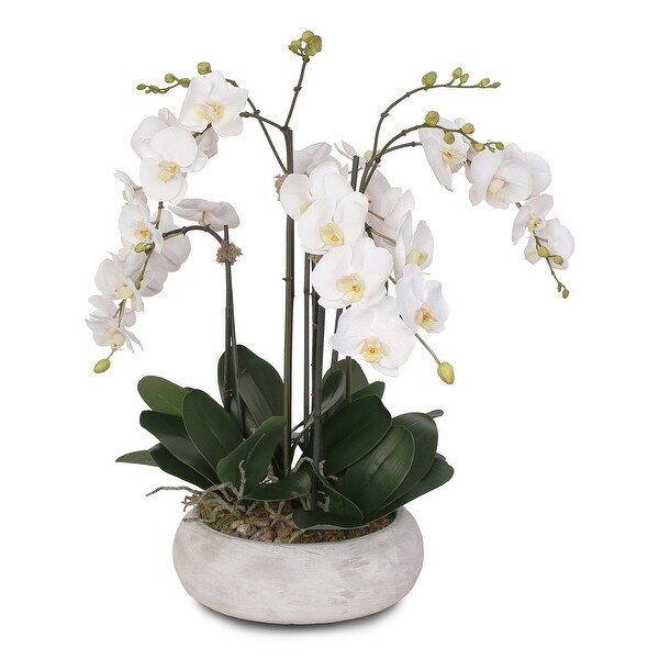 Two Tone White Silk Phalaenopsis Orchids Arrangement in Pot