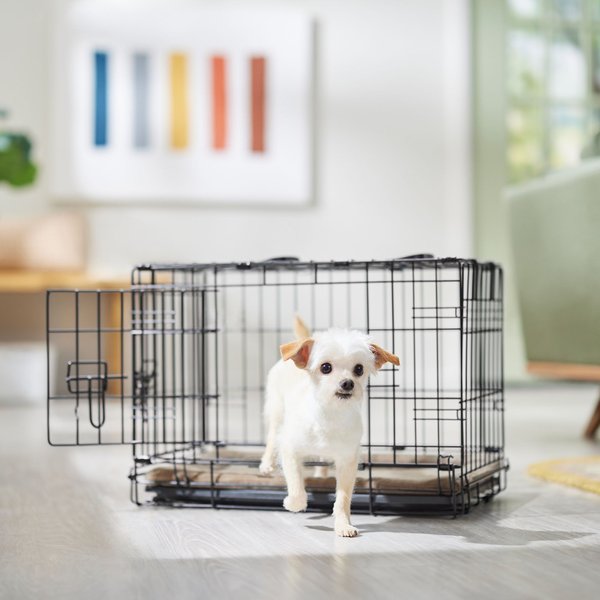 Frisco Heavy Duty Fold and Carry Double Door Collapsible Wire Dog Crate