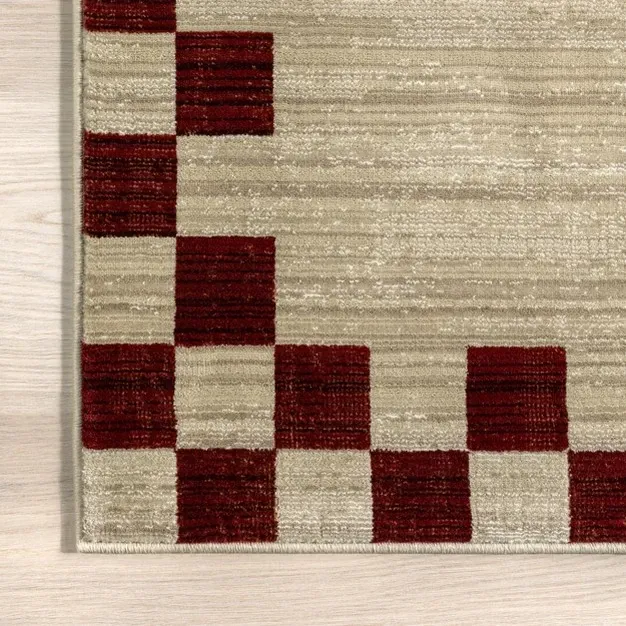 Checked Border Rug