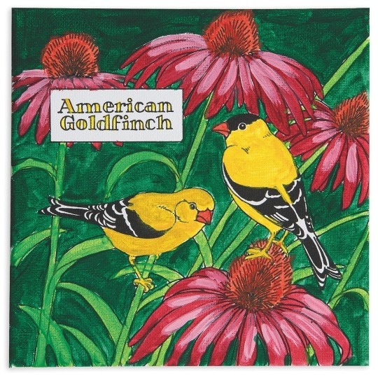 S S Worldwide American Goldfinch Painting Craft Ki...