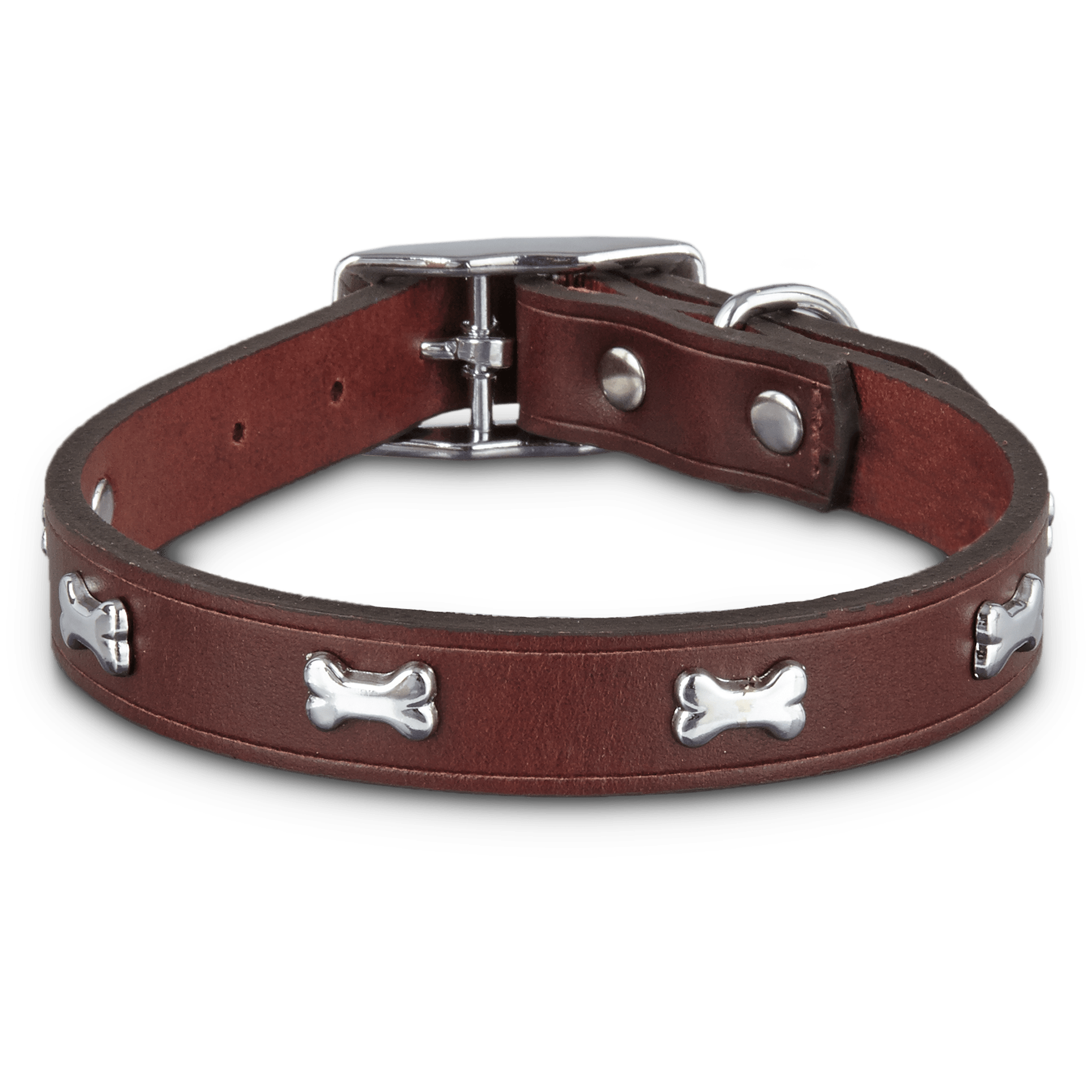 Bond  Co. Brown Leather Bone Stud Dog collar， For Neck Sizes 18-21， Large/Extra Large