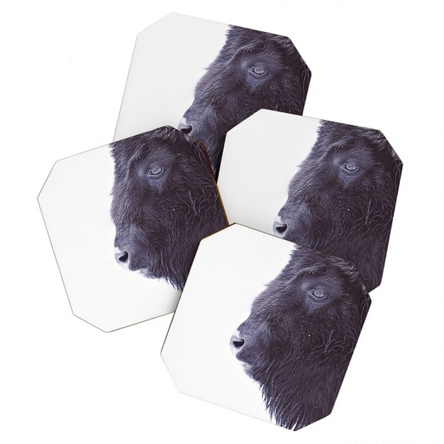 Monika Strigel Black Buffalo Set Of 4 Coasters Deny Designs