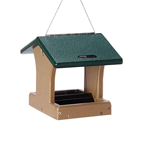 Birds Choice SN100 Two-Sided Hopper Feeder， Recycled Hanging Bird Feeder， Small， Taupe/Green