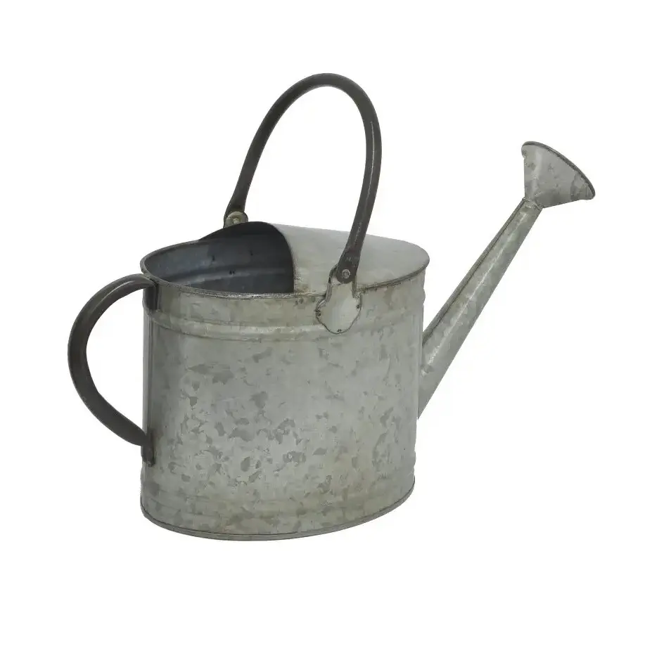 Classic Royal Green New Design Cheap Wholesale Hotel Restaurant Home Metal watering Can/Pot for Garden