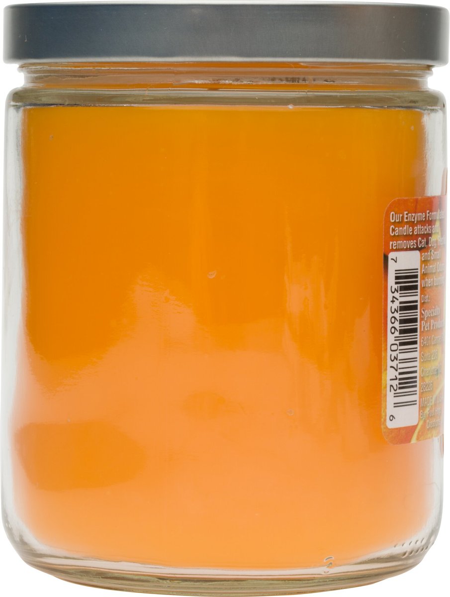 Pet Odor Exterminator Orange Lemon Splash Deodorizing Candle