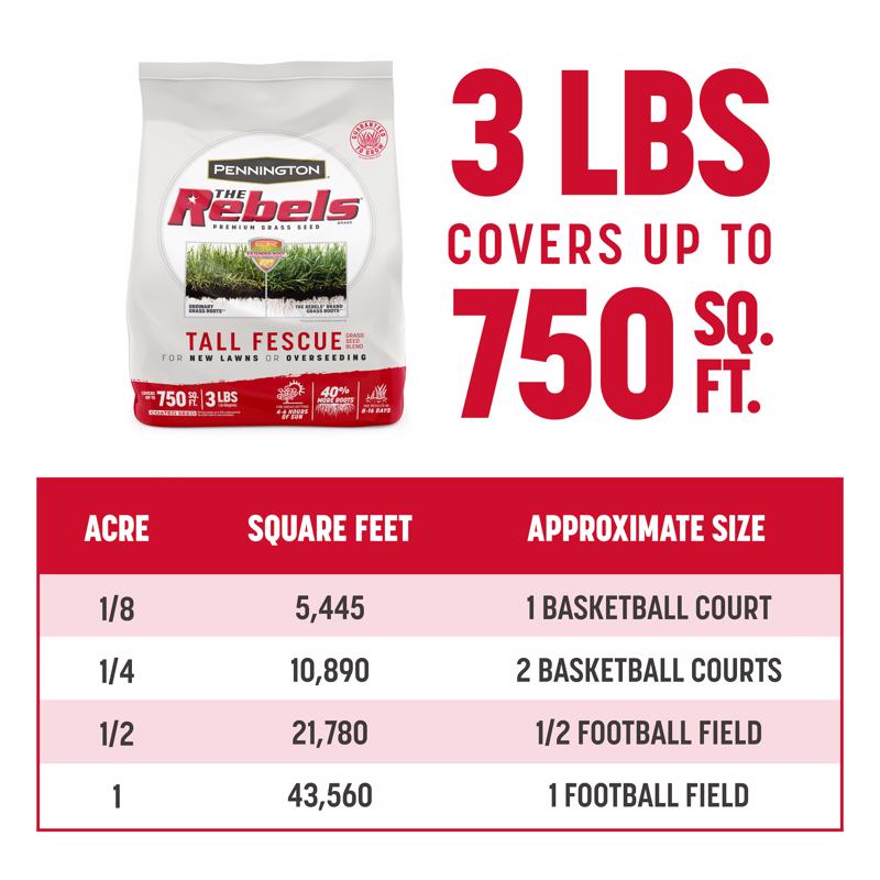 REBEL TALL FESCUE 3 LB