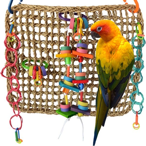 Super Bird Creations Activity Wall Bird Toy， Medium