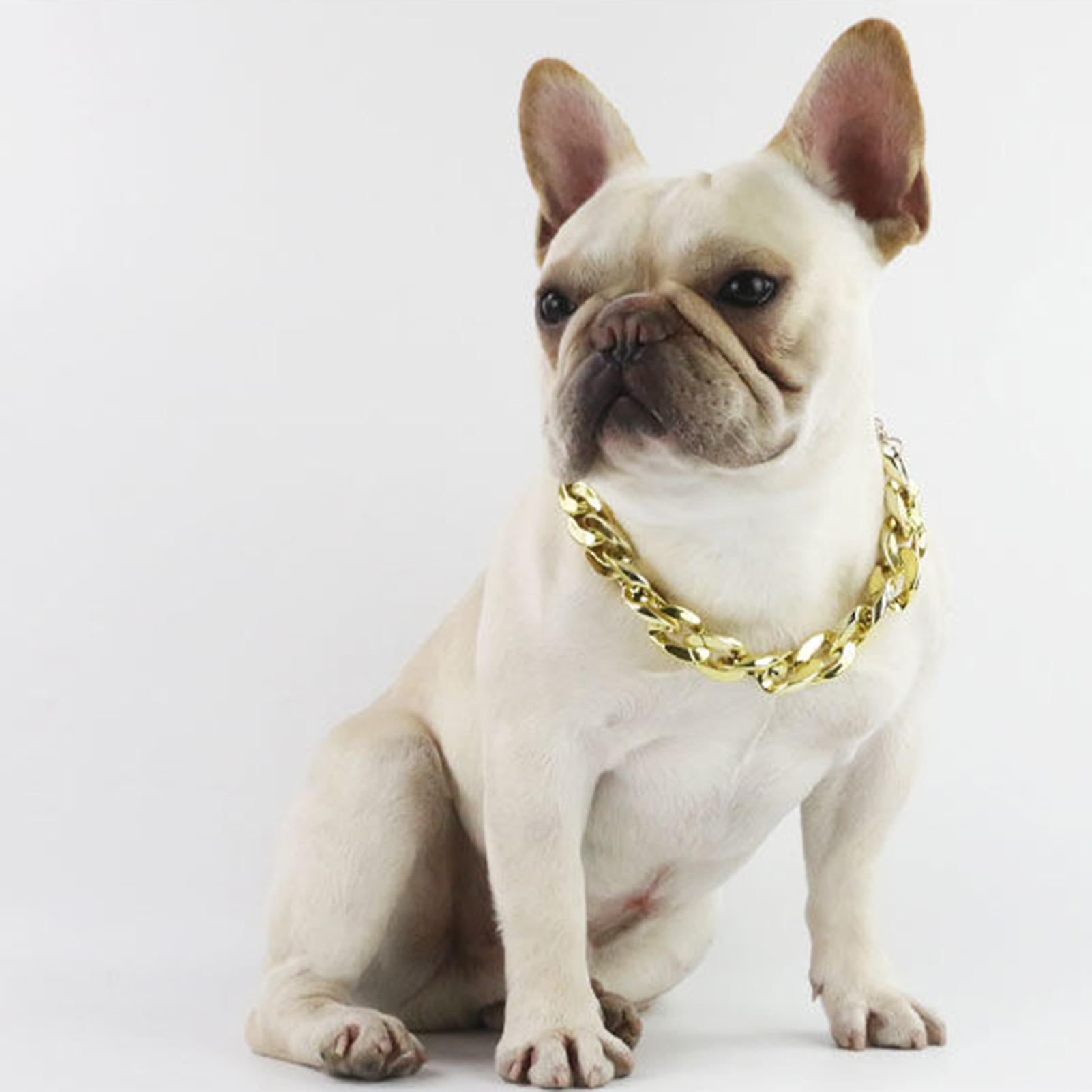 French Fighting Dog Bully Gold Chain Small And Medium-sized Dog Collar Pet Necklace Jewelry Accessories Gold Coffee