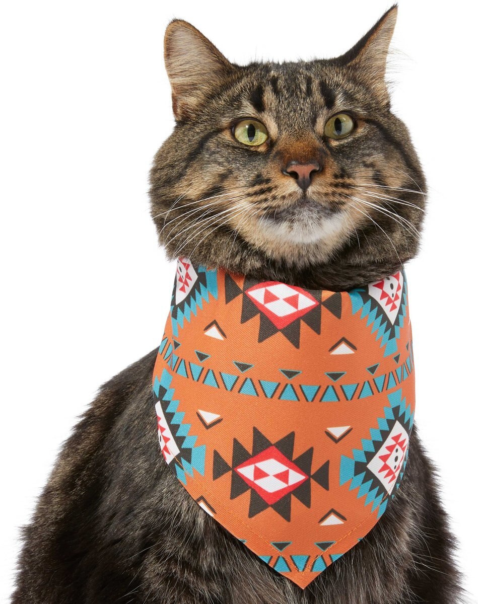 Frisco Southwest Dog and Cat Bandana