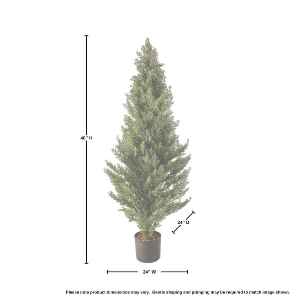 48 Uv Potted Arborvitae Tree