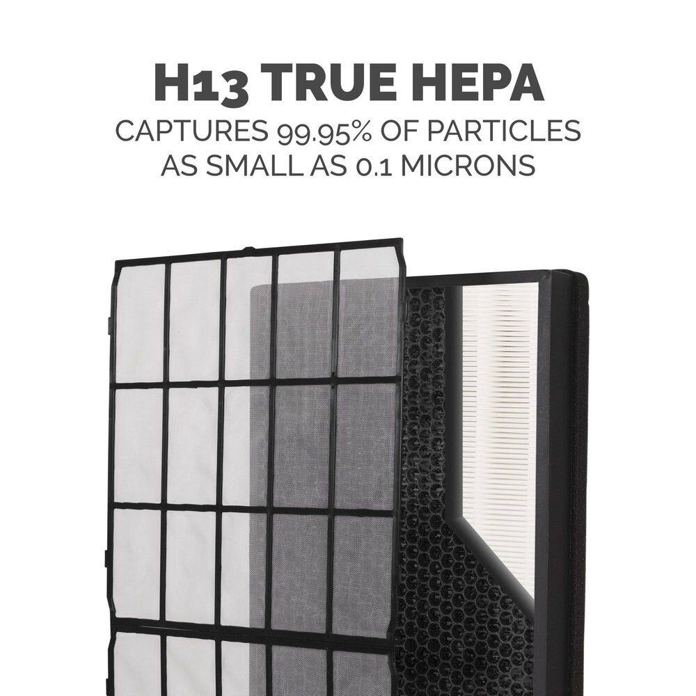 Fellowes AeraMax SV True HEPA and Carbon Air Purifier Filter (2-Pack) 9787902