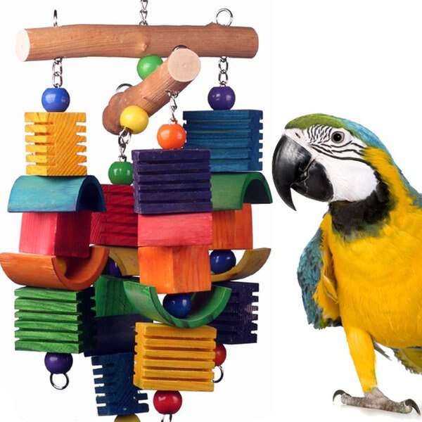 Super Bird Creations Groove Mobile Bird Toy， X-Large