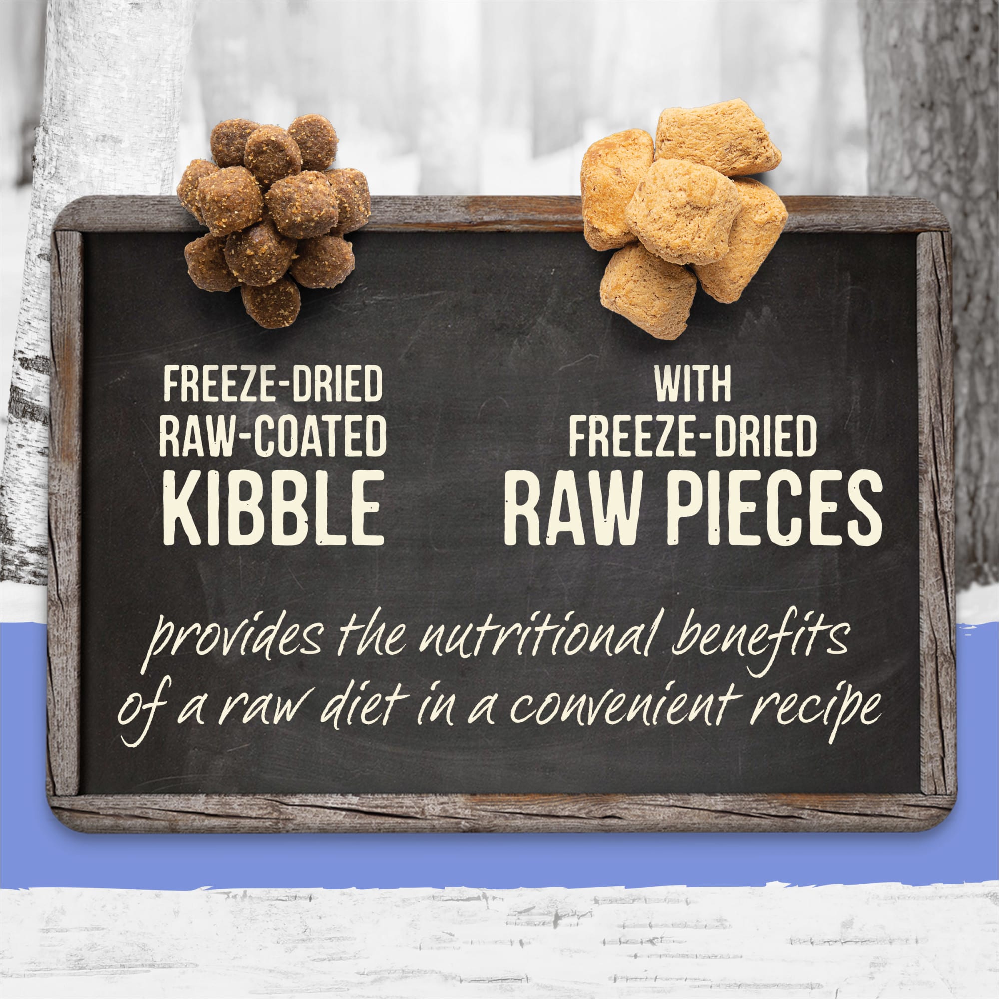 Merrick Backcountry Freeze Dried Raw Infused Puppy Recipe with Healthy Grains Dry Dog Food， 10 lbs.