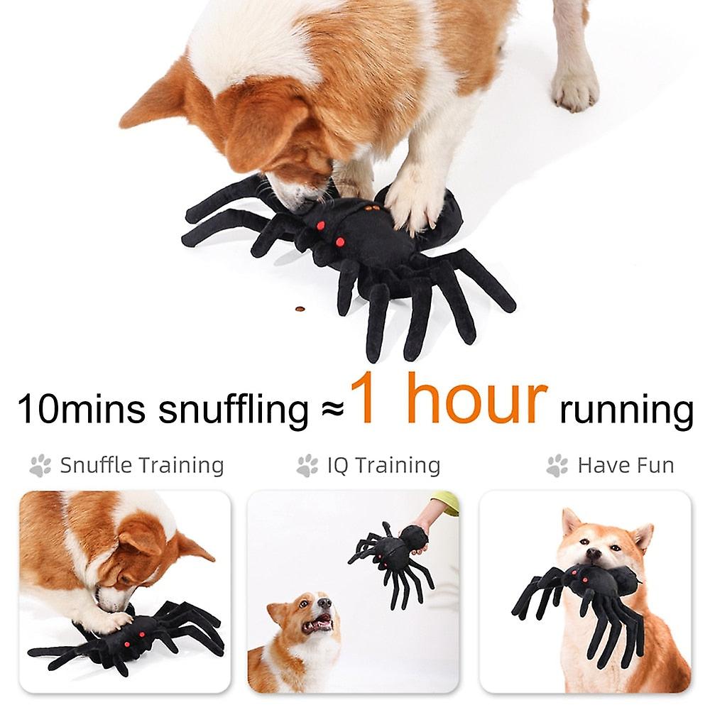 Halloween spider dog snuffle toy