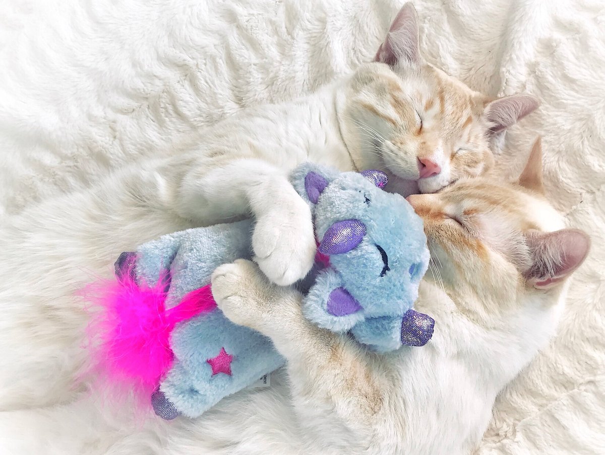 Catstages Cuddle Pal Unicorn Cat Plush Toy