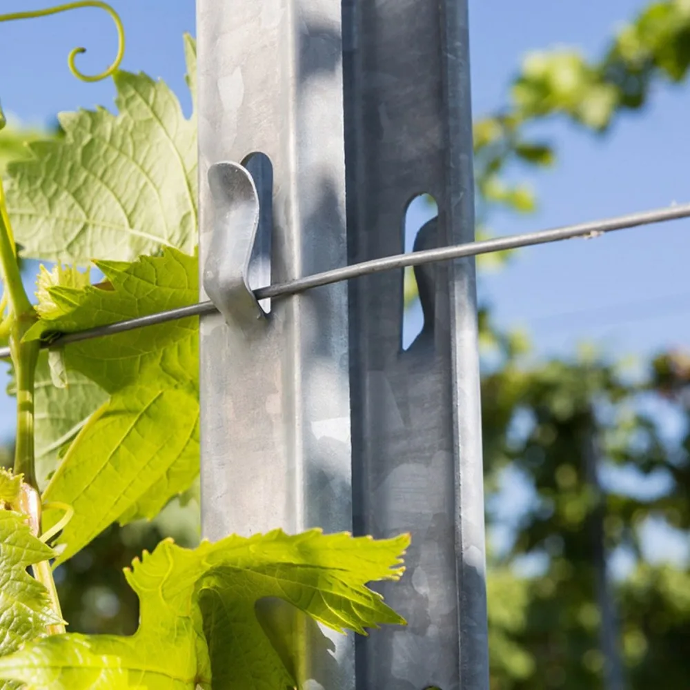 Factory Supply Grape Support Trellis Vineyard End Post