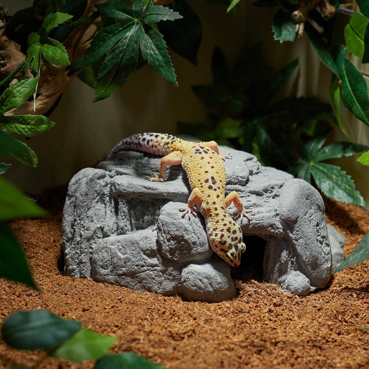 CC Pet Tropical Cave Reptile Hide