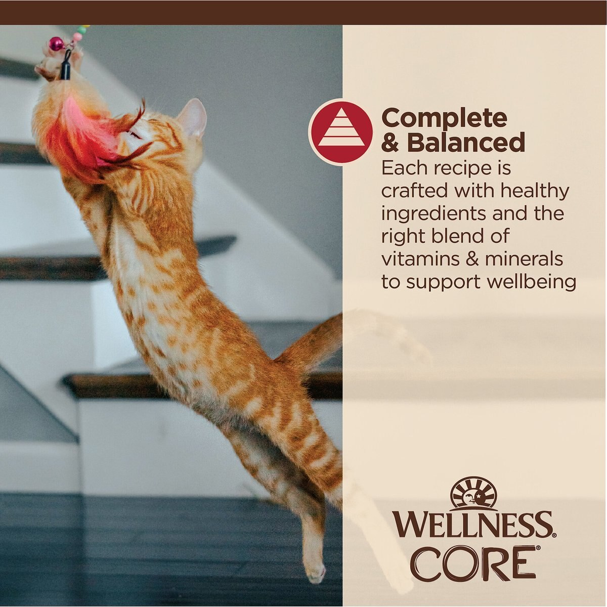 Wellness Tiny Tasters Chicken and Beef Grain-Free Minced Wet Cat Food， 1.75-oz pouch， case of 12