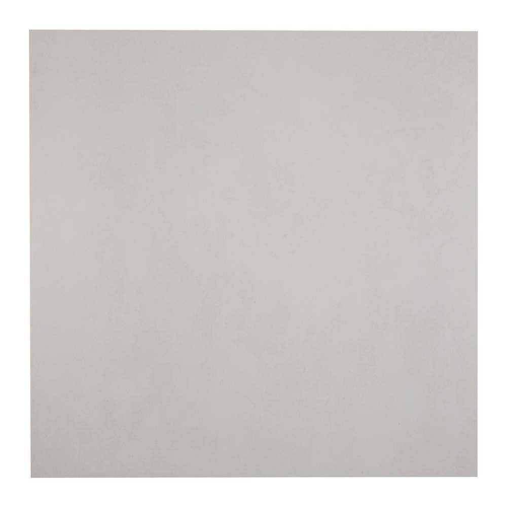 Basics Gray 24 in. x 24 in. Matte Porcelain Floor and Wall Tile (15.49 sq. ft.Case) BAFL0524241P