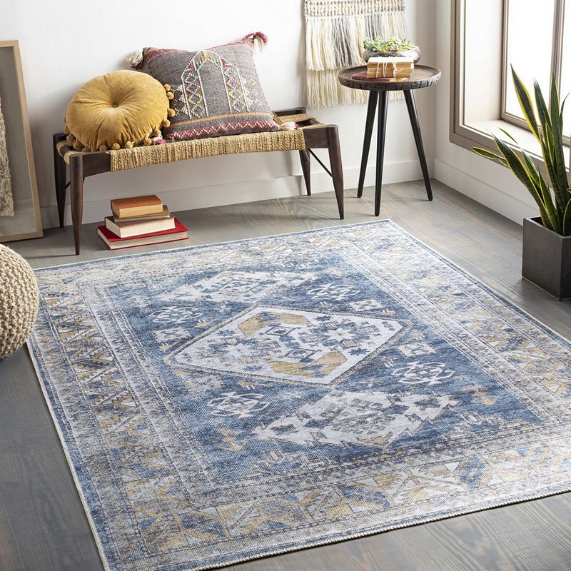 Langedijk Traditional Washable Area Rug