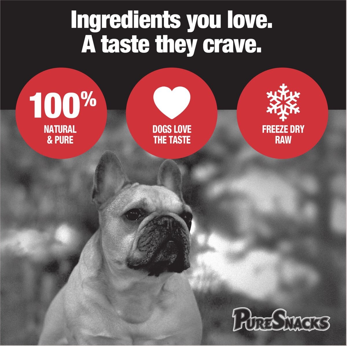 PureSnacks Chicken Breast Super Value Size Freeze-Dried Dog Treats， 9.2-oz bag