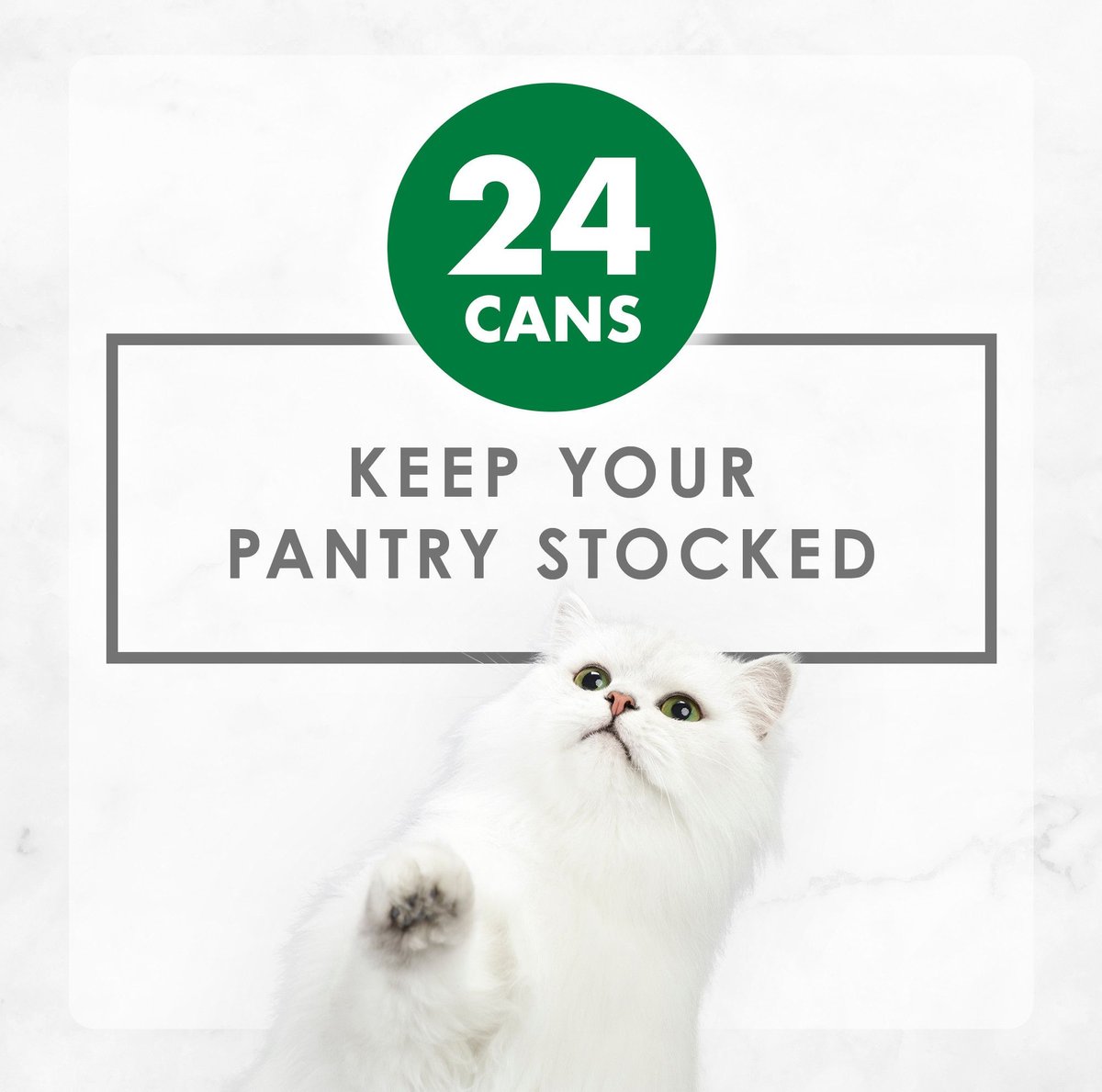 Fancy Feast Chicken Feast Chunky Pate Canned Cat Food