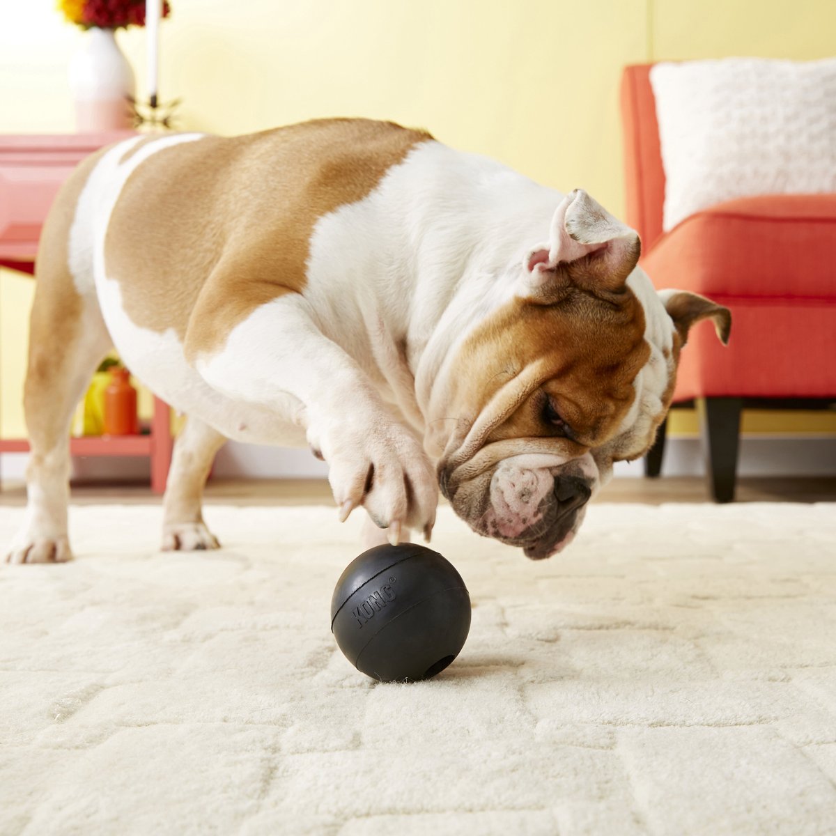 KONG Extreme Ball Dog Toy