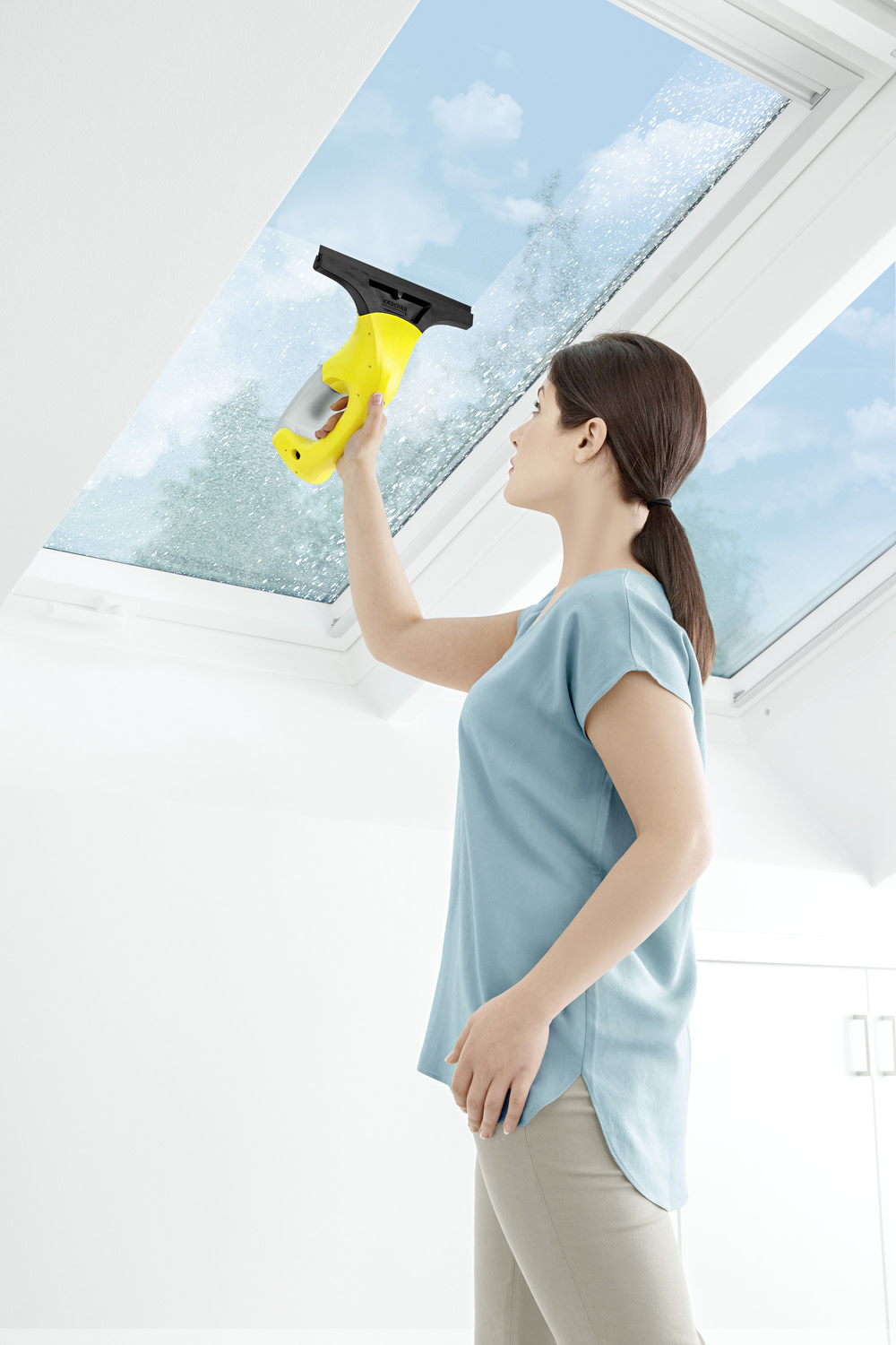 WV 1 Plus Window Vac ;