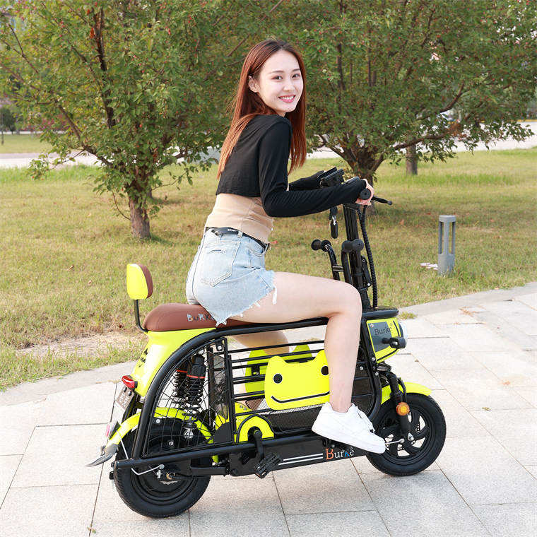 2023 Wholesale OEM cycle china cheapest e bike electric  high quality bike city 48V 8Ah folding electric pet bike for women