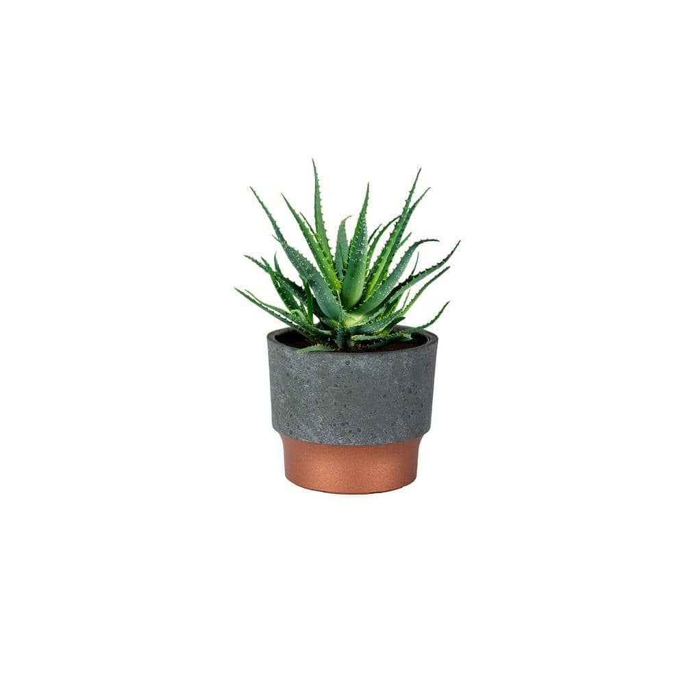 3 in. Faux Concrete Plastic Sprite Succulent Pot SSP03000K20