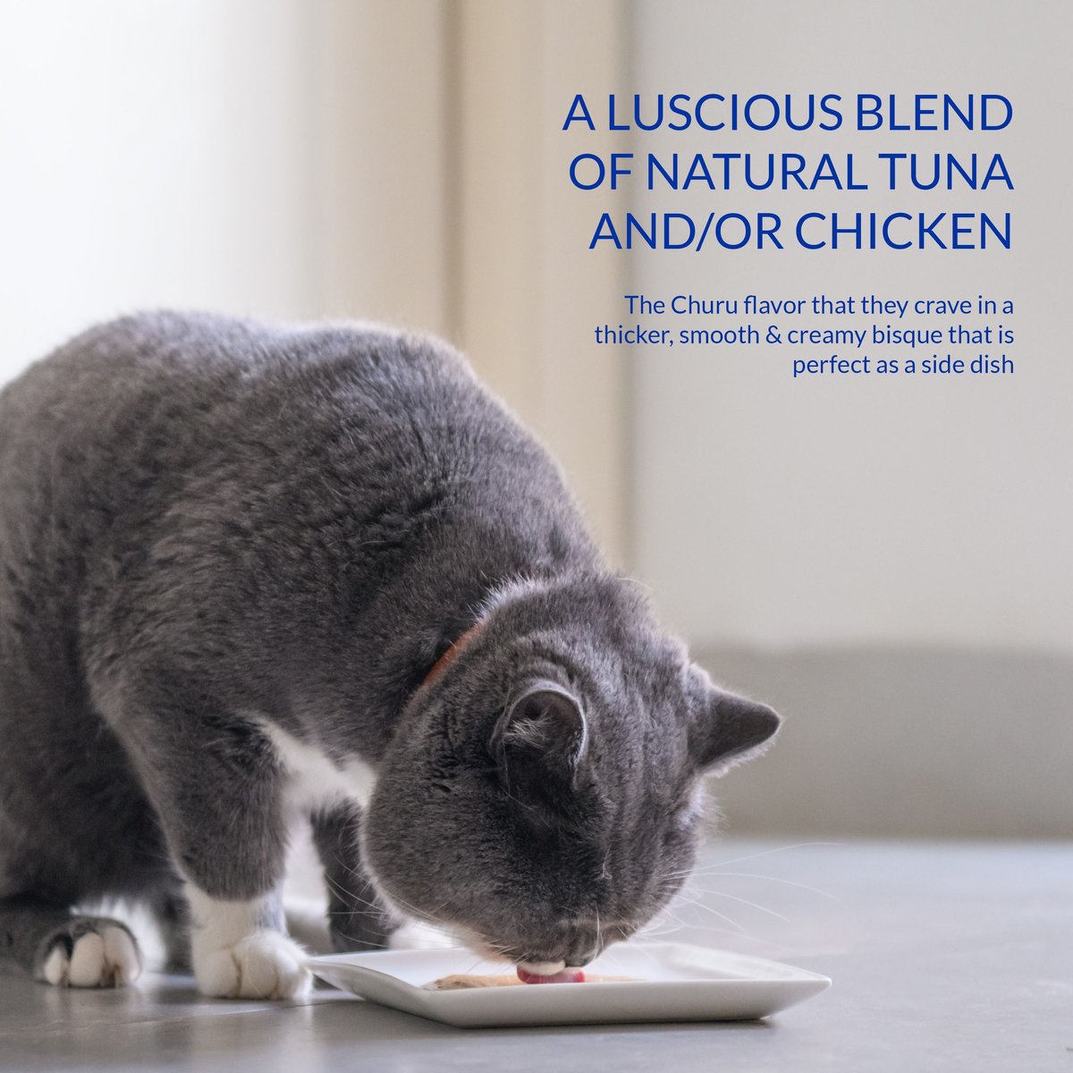 Inaba Churu Bisque Tuna with Salmon Recipe Grain-Free Lickable Cat Treats