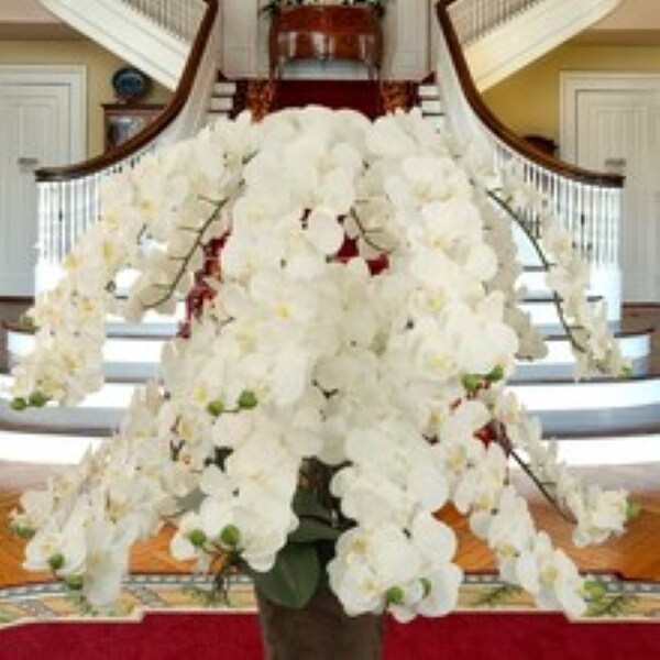 White Phalaenopsis Orchid Stem with 16 Silk Flowers and Bud by Floral Home