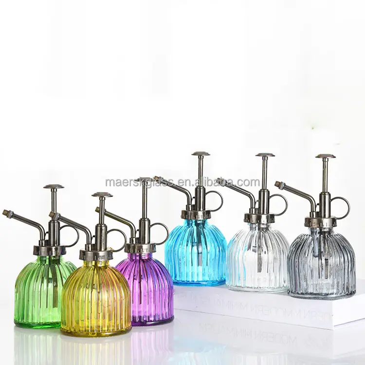 Glass Plant Mister Spray Bottle Plant Spritzer Small Watering Can Succulent Watering Bottle with Top Pump Sprayer