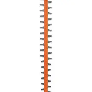 RYOBI 40V 24 in. Cordless Battery Hedge Trimmer with 2.0 Ah Battery and Charger RY40620