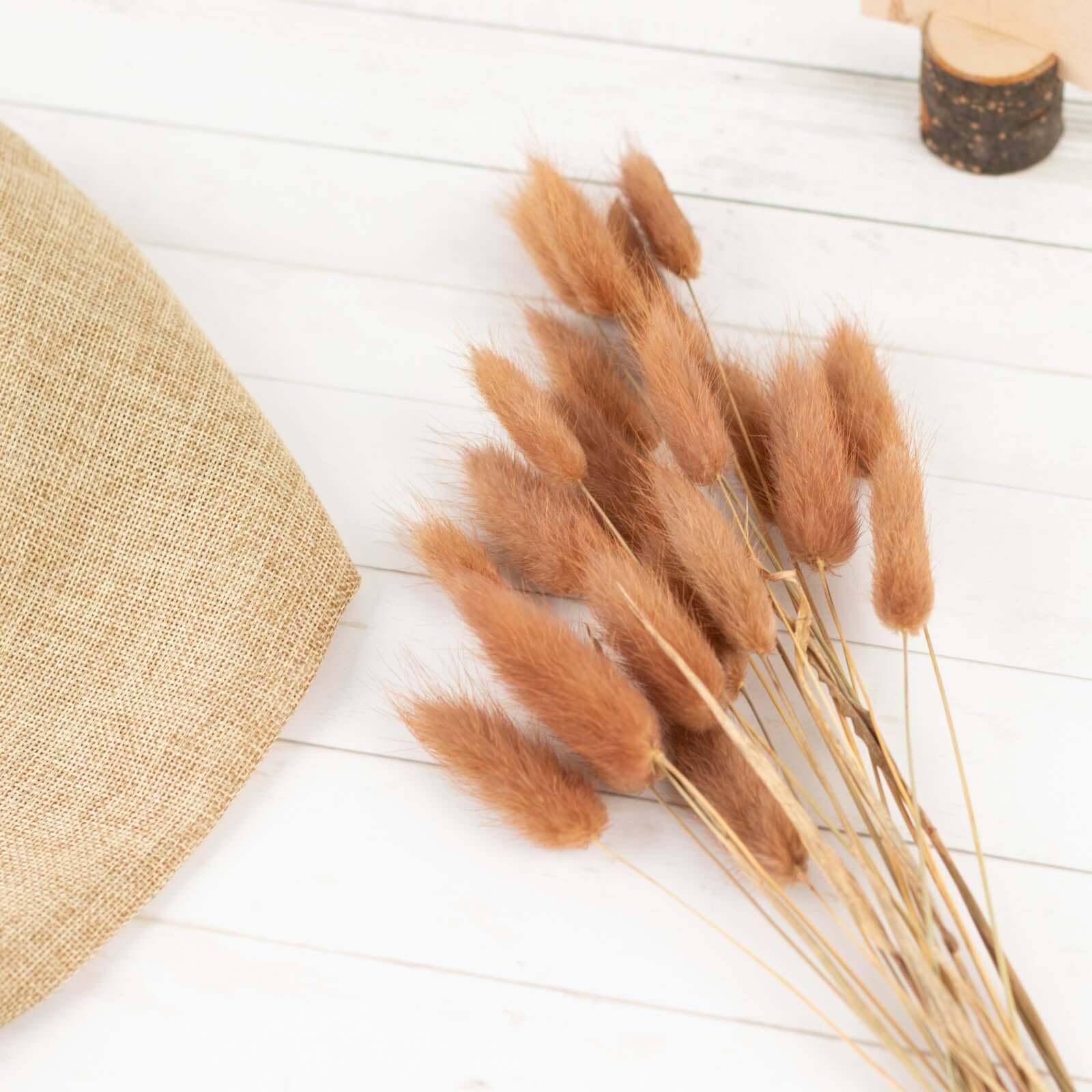 50 Pack Brown Rabbit Tail Dried Pampas Grass Flower Bouquets, Boho Stem Arrangements 15