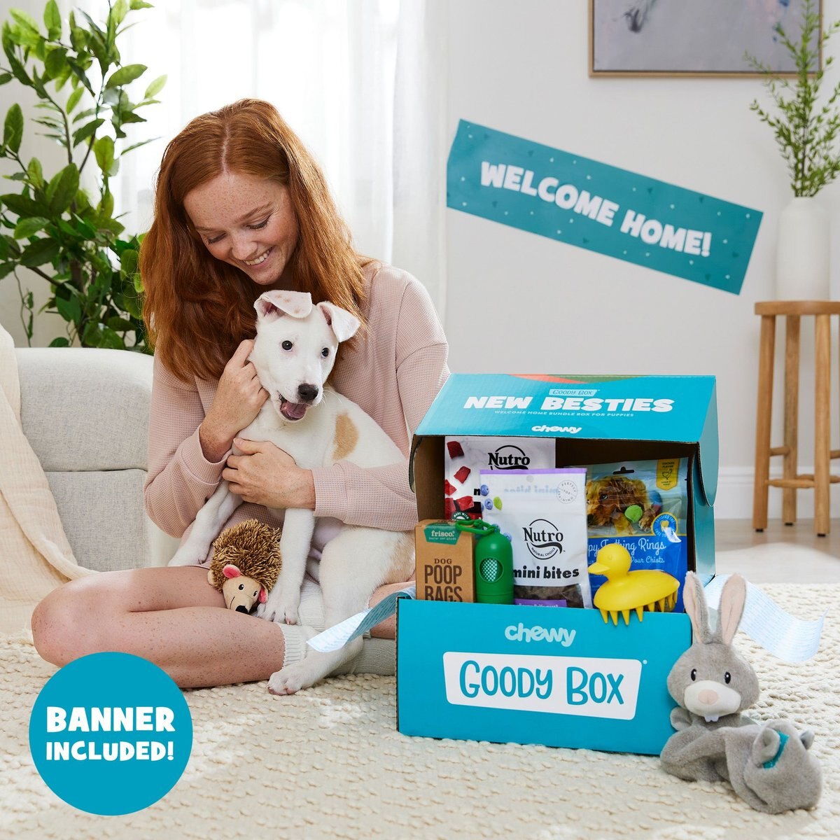 Goody Box Puppy Toys， Treats and Potty Training