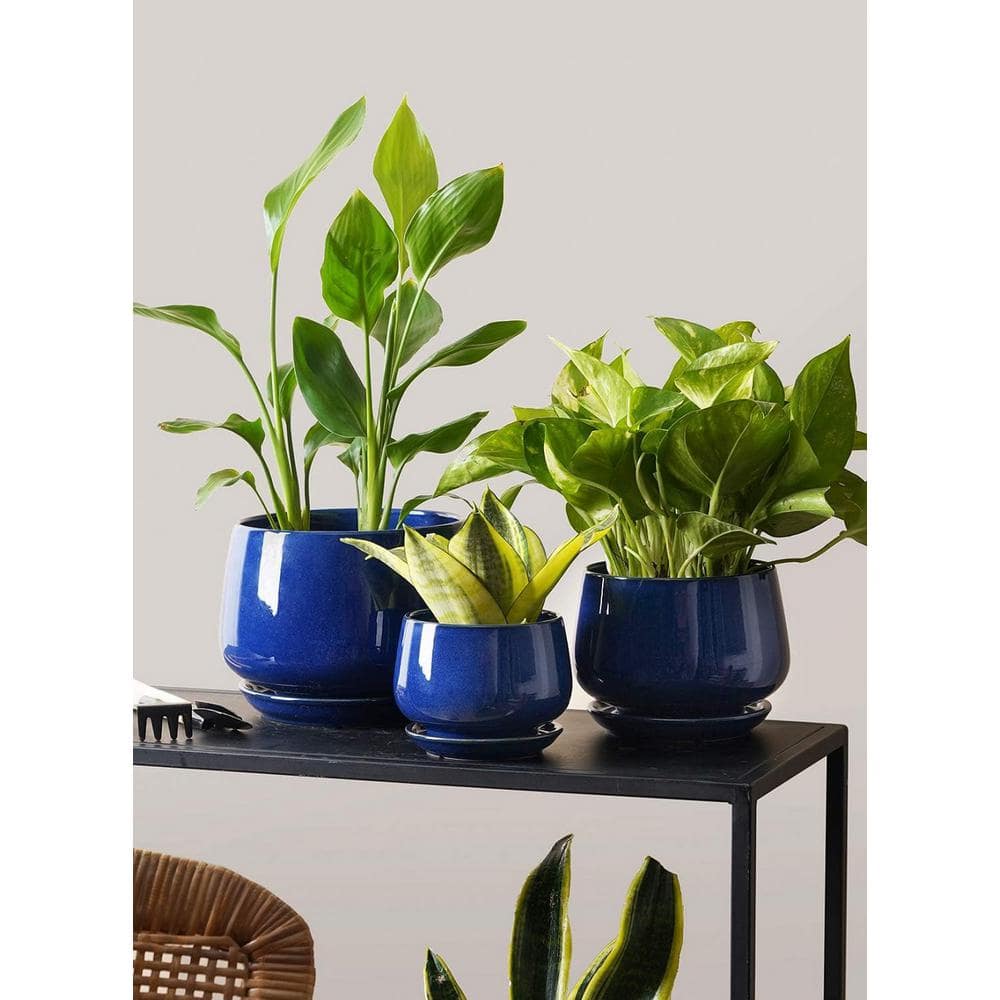 ITOPFOX Modern 6.5 in. L x 6.5 in. W x 5.8 in. H Sapphire Blue Ceramic Round Indoor Planter (3-Pack) HDPH031OT112