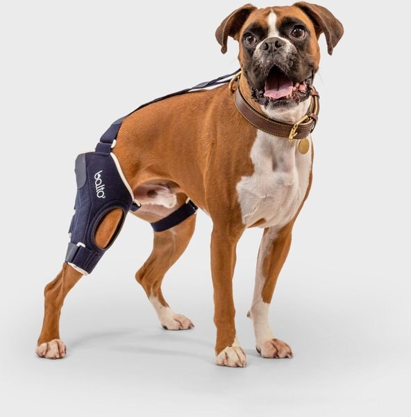 Balto Jump Dog Knee Brace